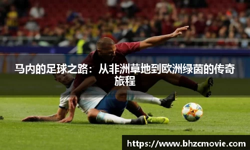 星座娱乐平台登陆入口
